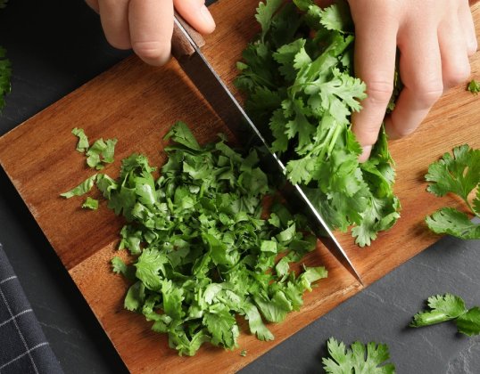 Coriander